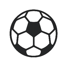 Fokus: Fotboll